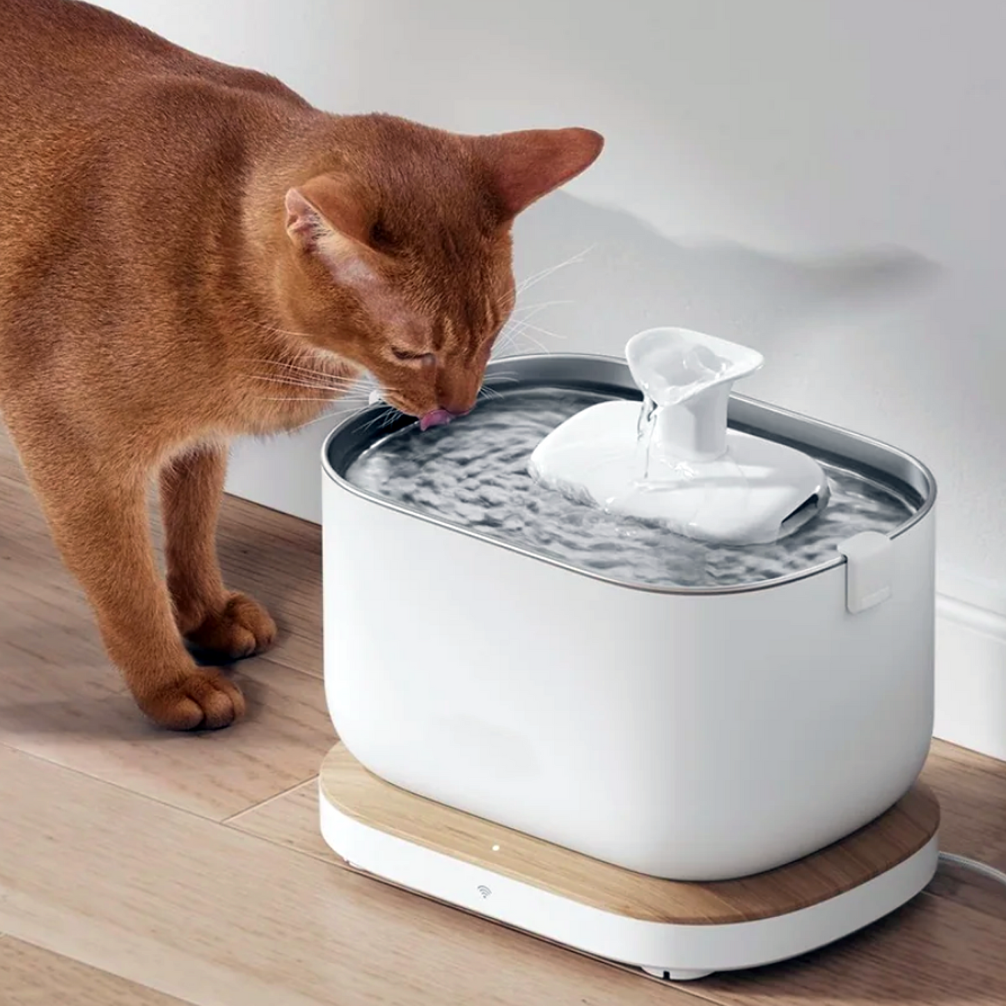 SMART PET WATER FOUNTAIN