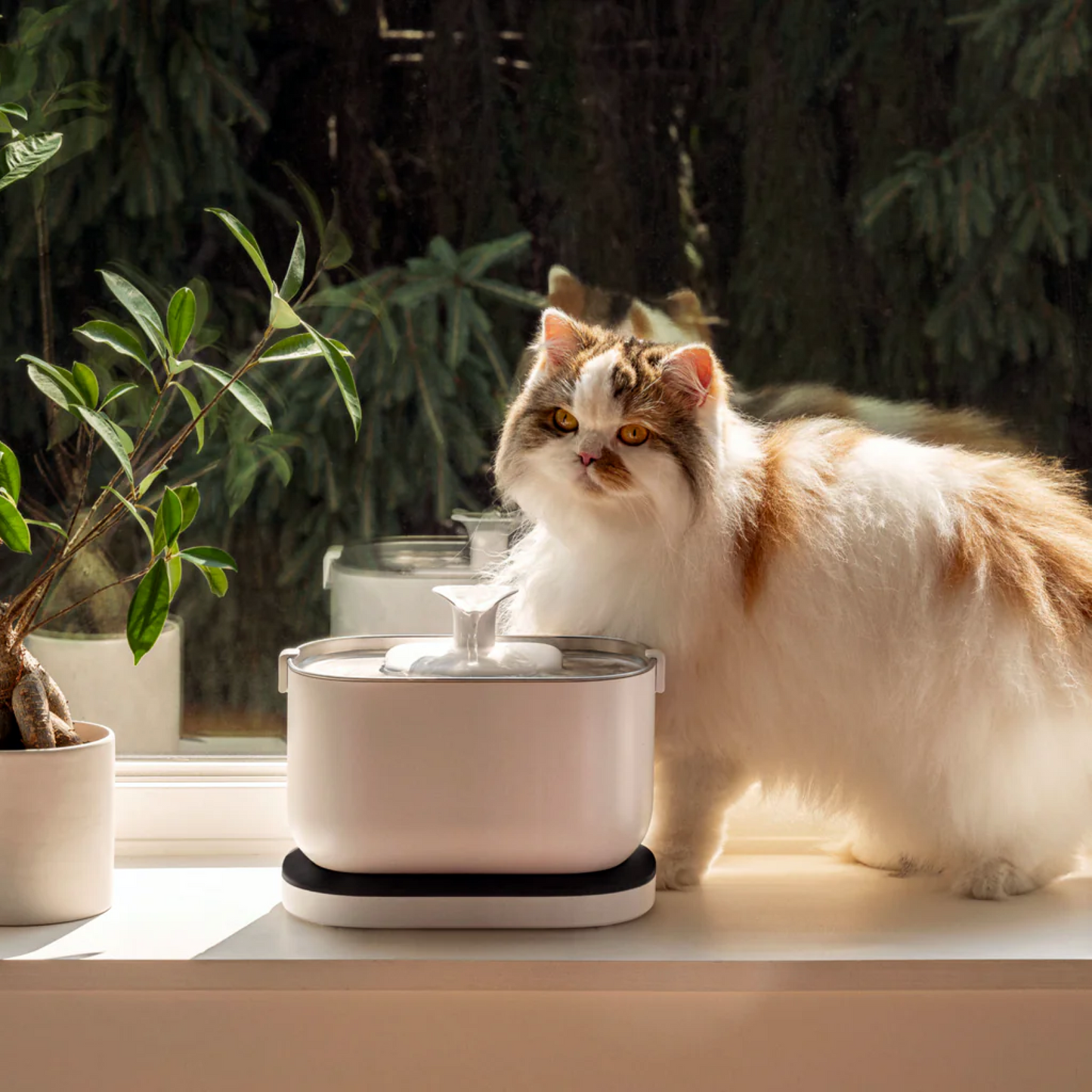 SMART PET WATER FOUNTAIN