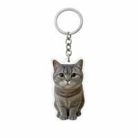 Tabby Keychain