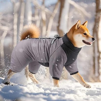 WINTER DOG JACKET